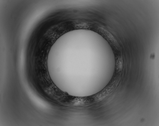 X0000100330764200806191108