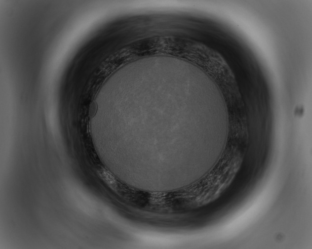 X0000100330766200806191108