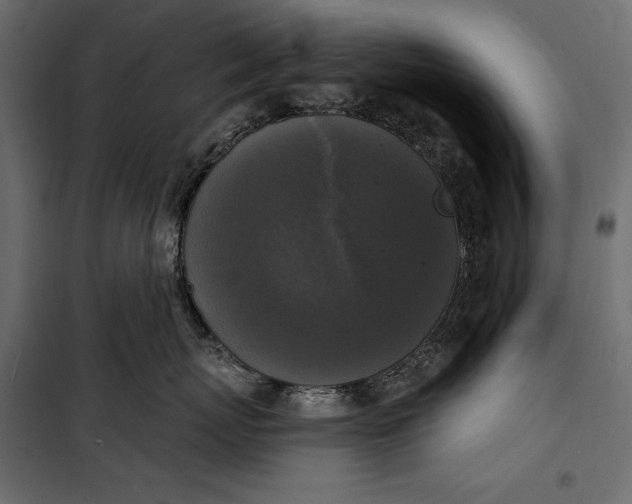 X0000100330767200806191108