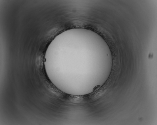 X0000100330768200806191108