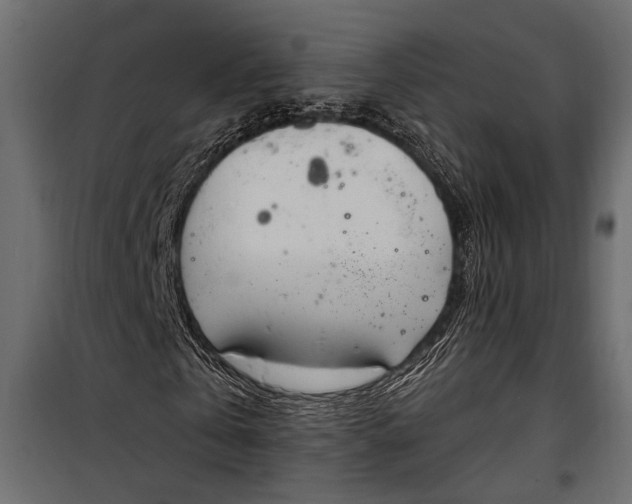 X0000100330769200806191107