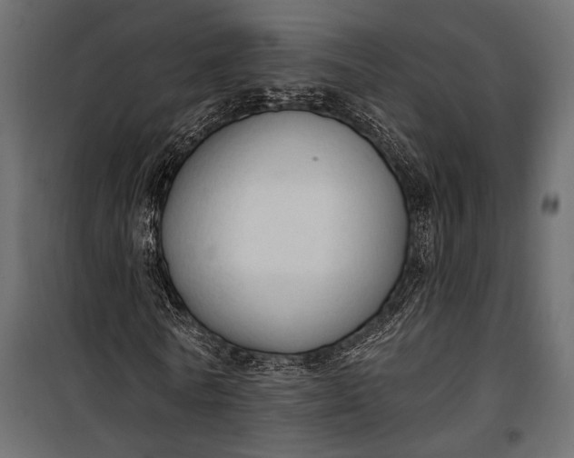 X0000100330770200806191107