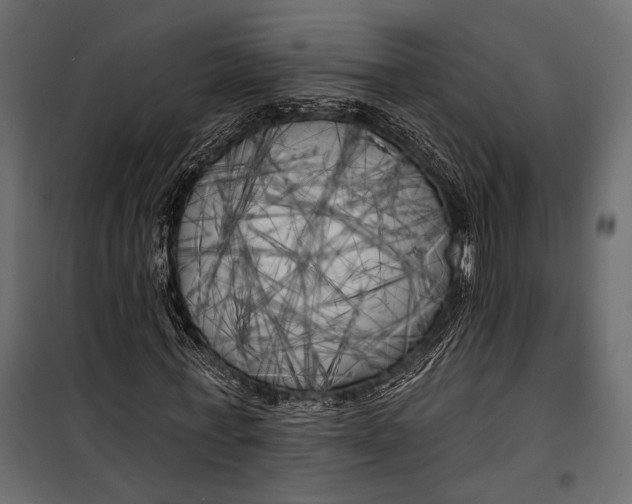 X0000100330771200806191107