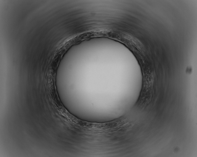 X0000100330773200806191107