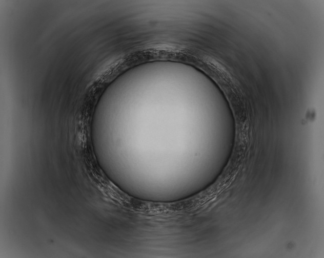 X0000100330774200806191107