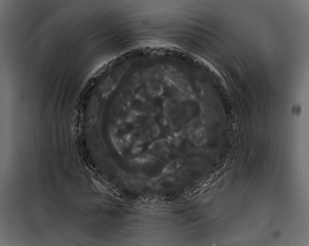 X0000100330775200806191107