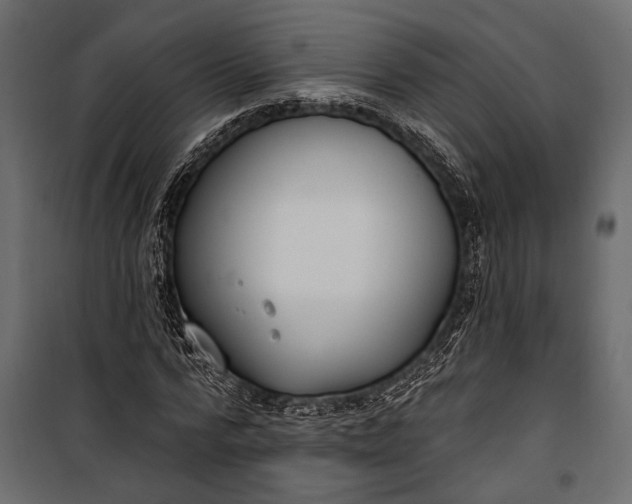 X0000100330776200806191107