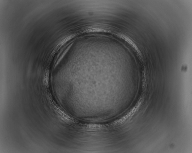 X0000100330777200806191107