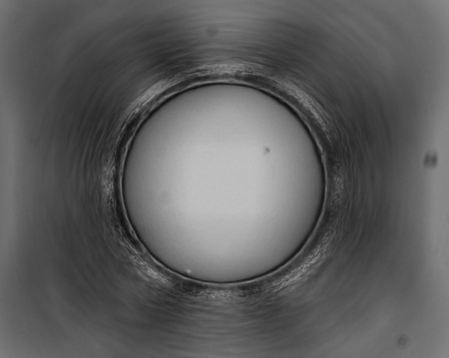 X0000100330778200806191107