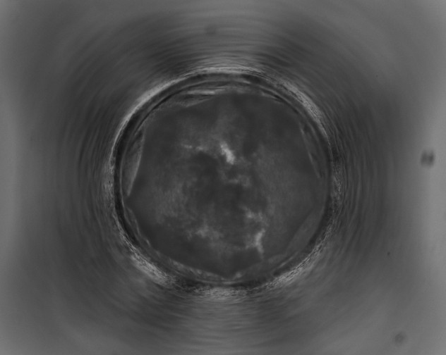 X0000100330779200806191107