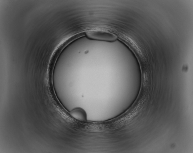 X0000100330780200806191107