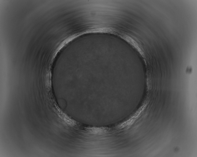 X0000100330781200806191107