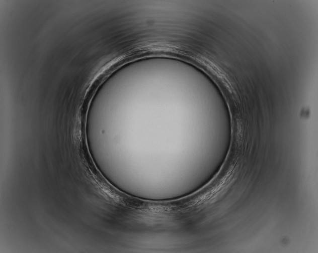 X0000100330782200806191107