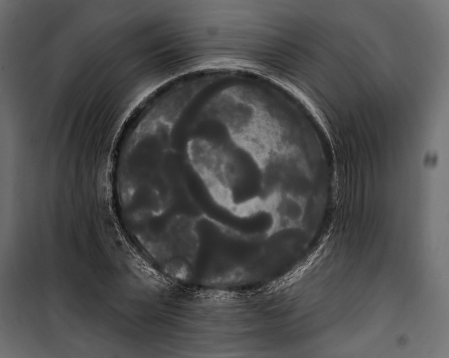 X0000100330783200806191107