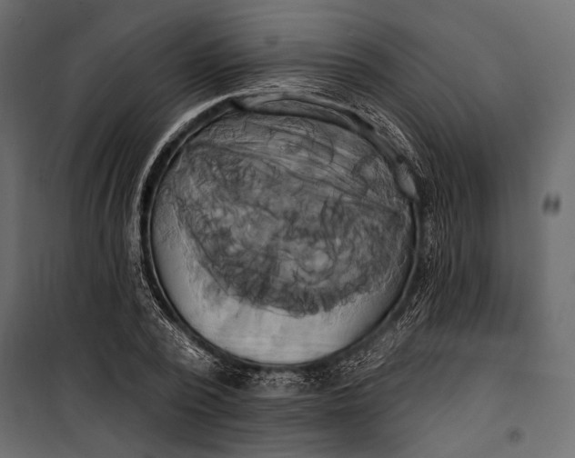 X0000100330784200806191107