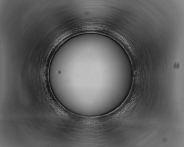 X0000100330786200806191106