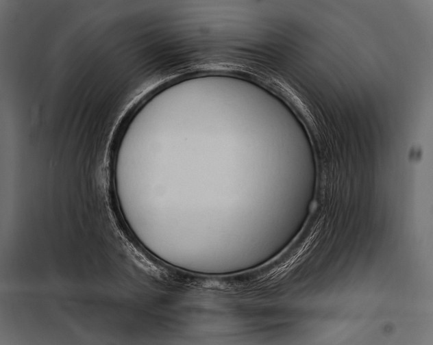 X0000100330787200806191106