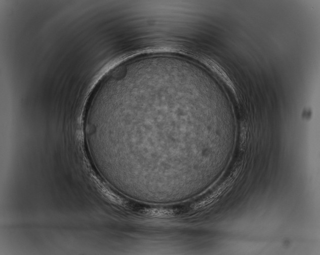 X0000100330789200806191106