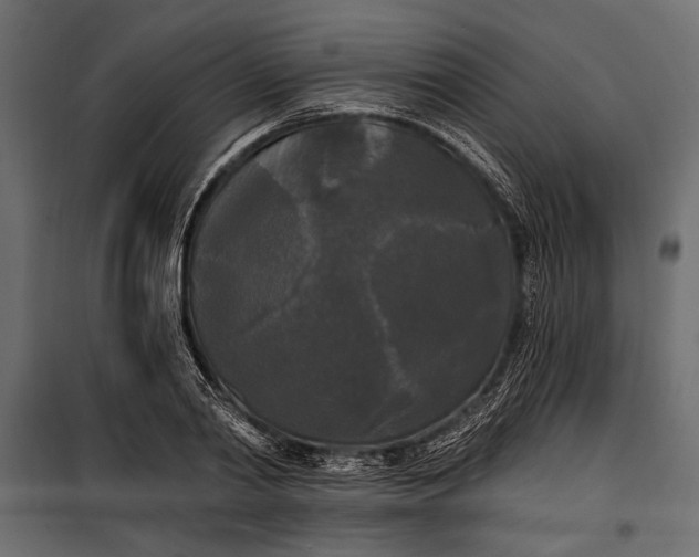 X0000100330790200806191106