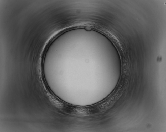 X0000100330792200806191106