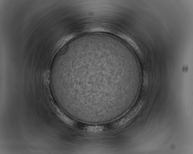 X0000100330793200806191106