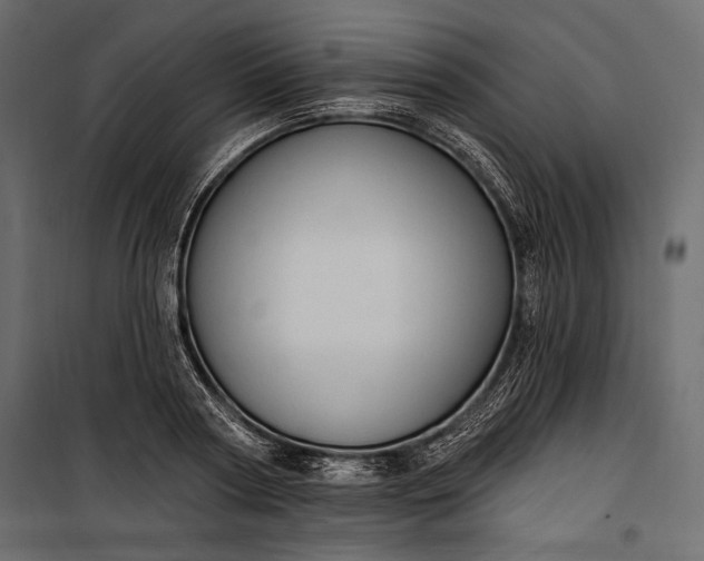 X0000100330794200806191106