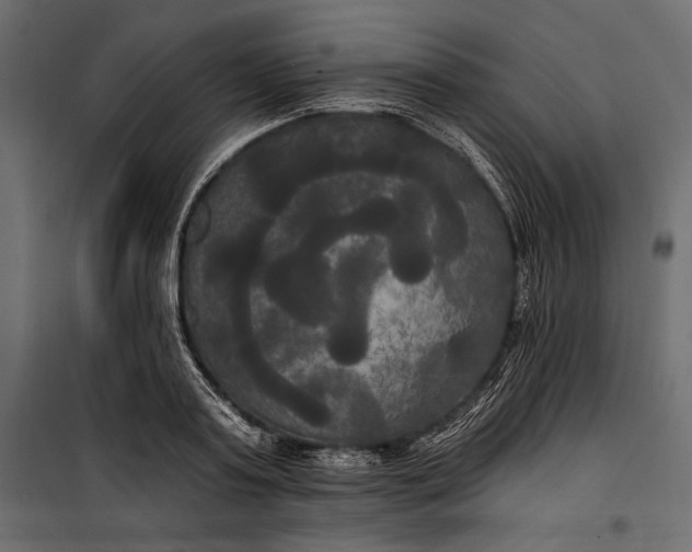 X0000100330795200806191106