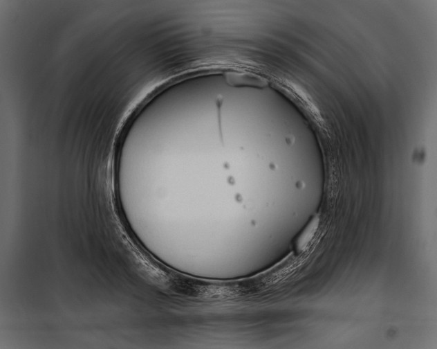 X0000100330796200806191106