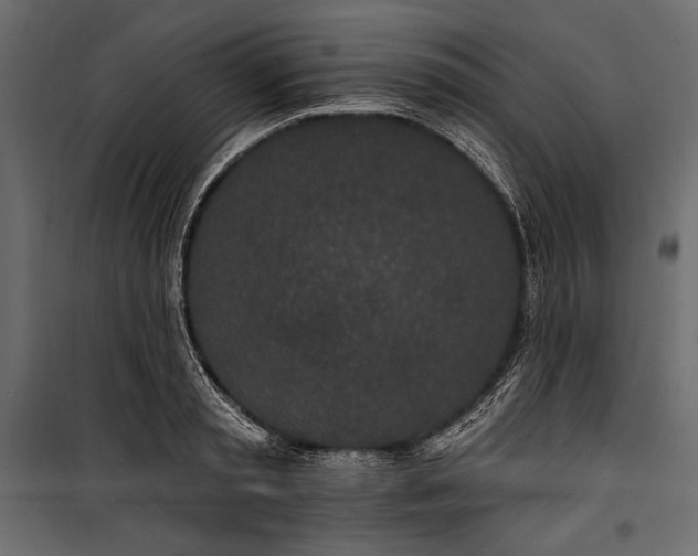 X0000100330797200806191106