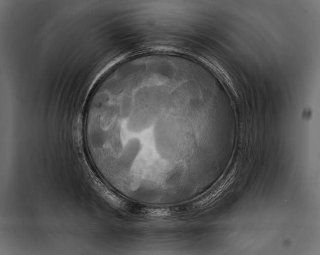 X0000100330798200806191106