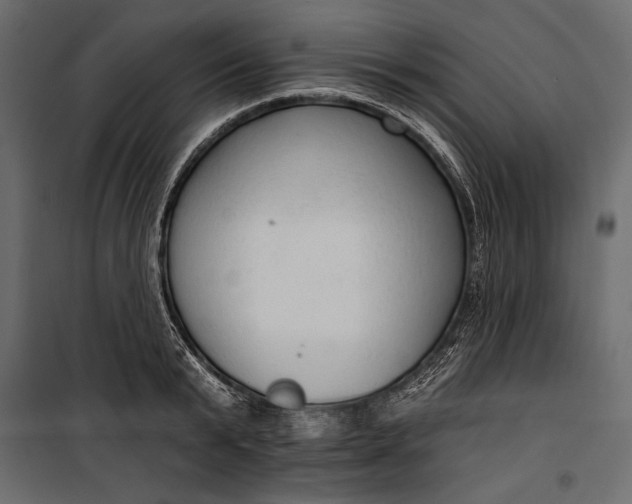 X0000100330799200806191106