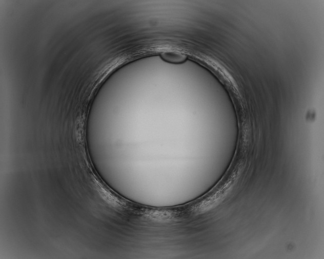 X0000100330801200806191106