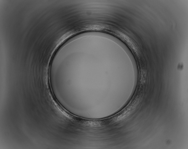 X0000100330802200806191106