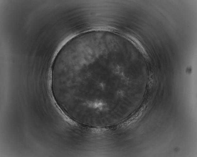 X0000100330804200806191106