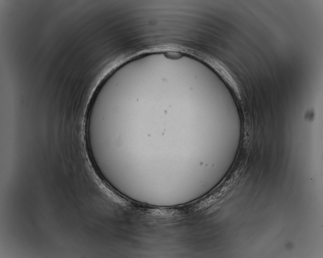 X0000100330805200806191106