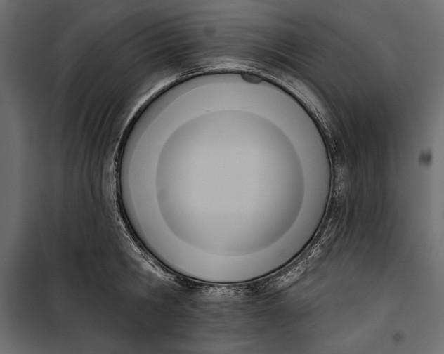 X0000100330806200806191106