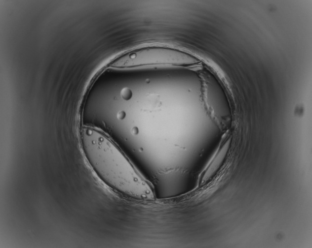 X0000100330807200806191106