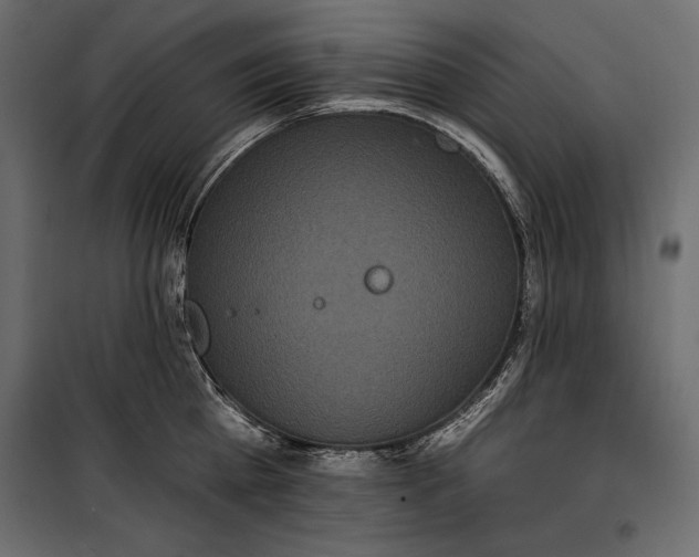 X0000100330809200806191106