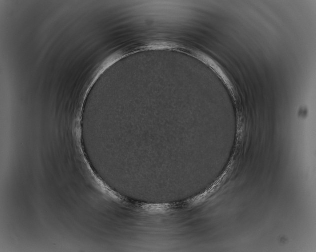 X0000100330810200806191106