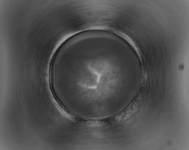 X0000100330811200806191106