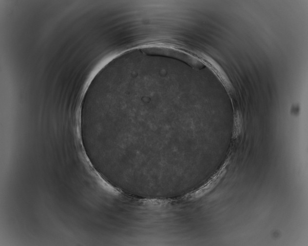 X0000100330812200806191106