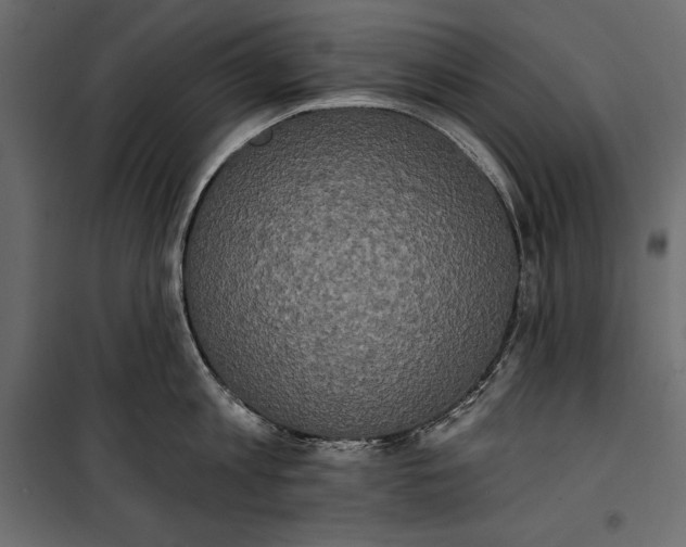 X0000100330813200806191106