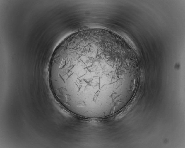 X0000100330814200806191106