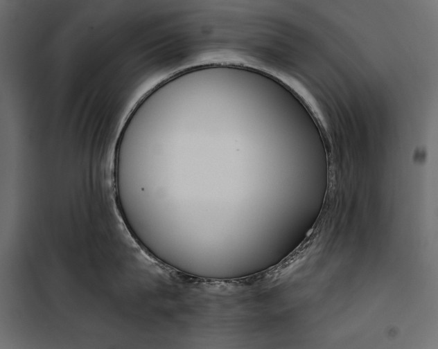 X0000100330815200806191106