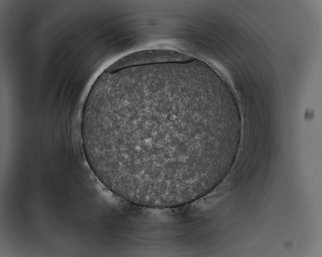 X0000100330816200806191106