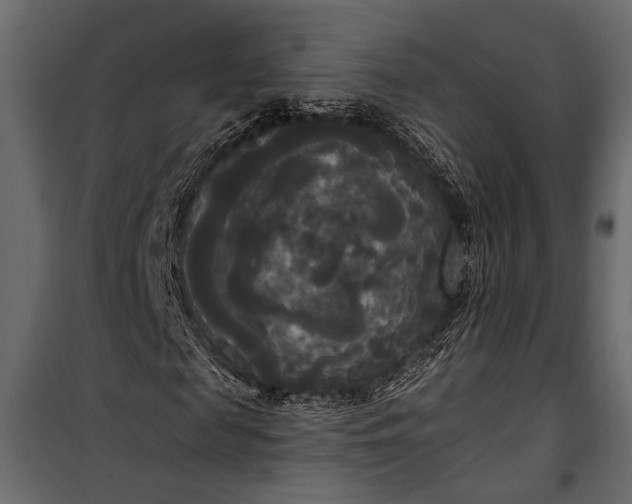 X0000100330817200806191105