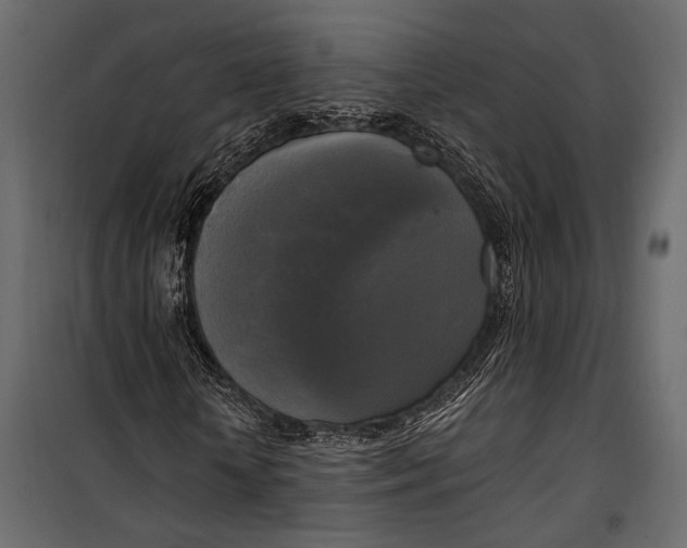 X0000100330818200806191105