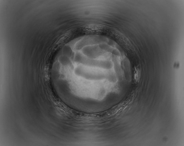 X0000100330819200806191105