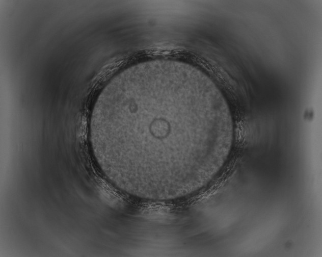 X0000100330820200806191105