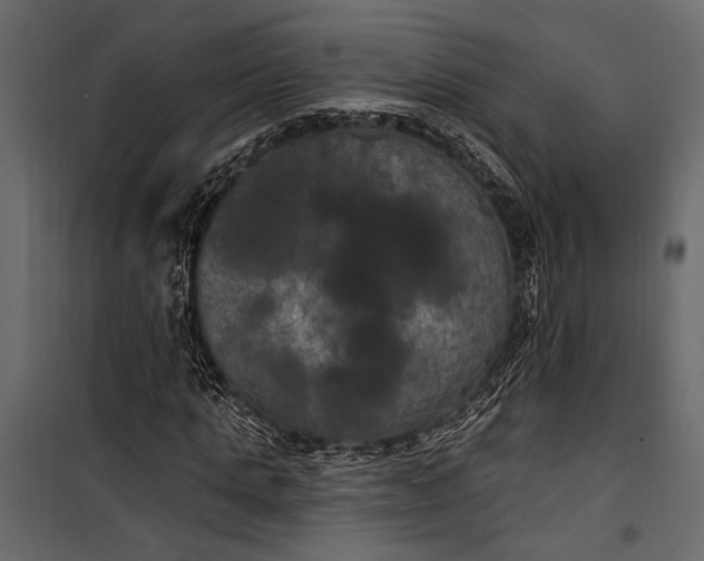 X0000100330821200806191105